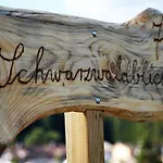 Schwarzwaldblick 艾森巴哈
