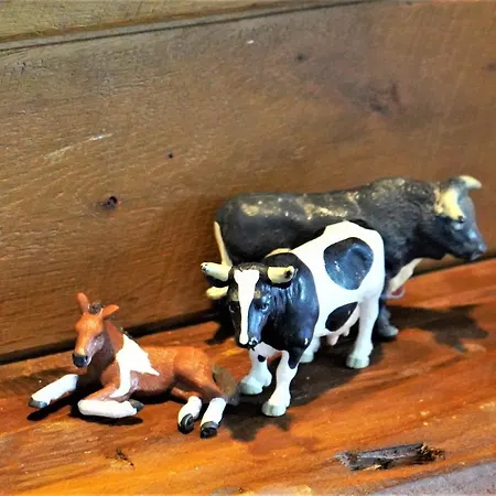 Апартаменты Schwarzwaldblick