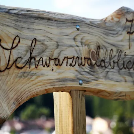 Schwarzwaldblick Айзенбах