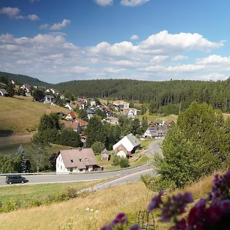 Schwarzwaldblick Eisenbach (Breisgau-Hochschwarzwald)