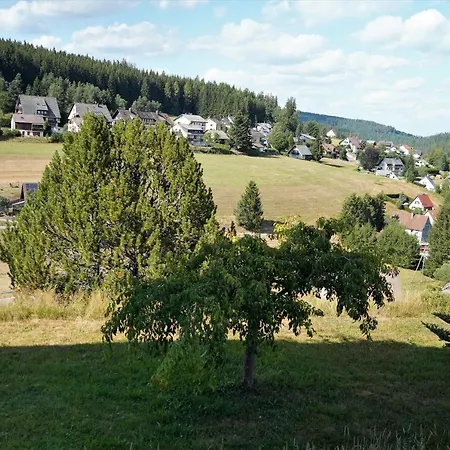 Апартаменты Schwarzwaldblick *