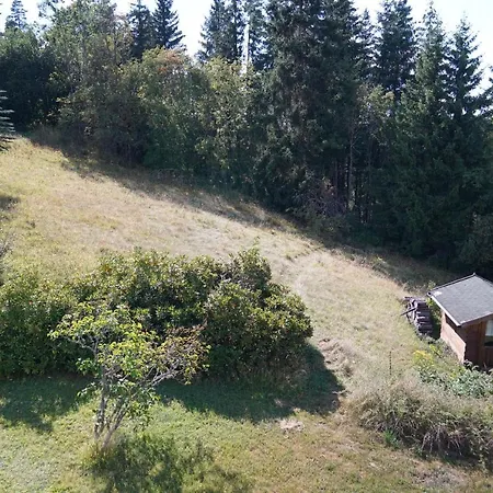 Апартаменты Schwarzwaldblick Айзенбах