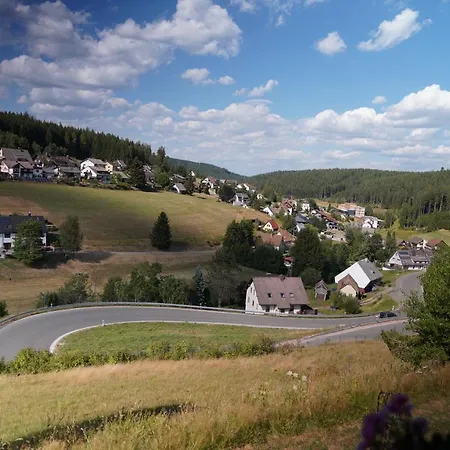 Schwarzwaldblick Eisenbach (Breisgau-Hochschwarzwald)