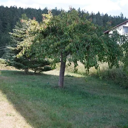 Schwarzwaldblick Апартаменты *