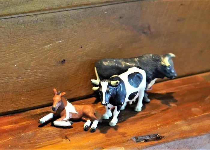 Apartmán Schwarzwaldblick