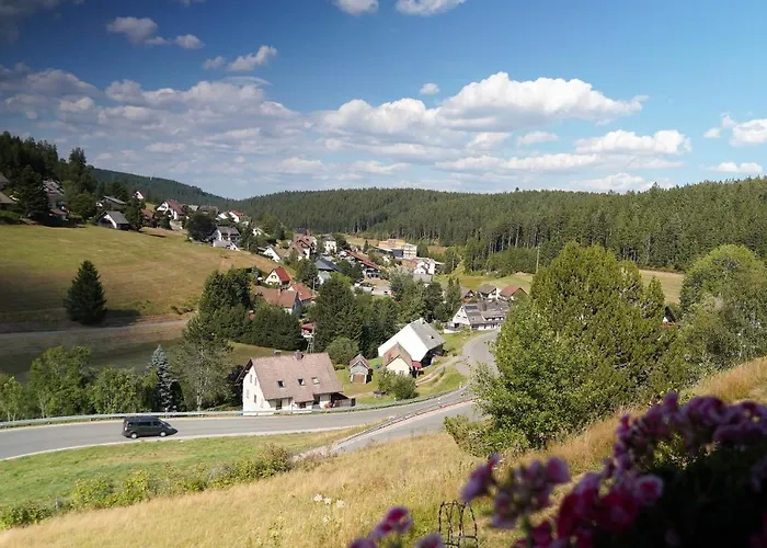 Schwarzwaldblick Eisenbach (Breisgau-Hochschwarzwald)