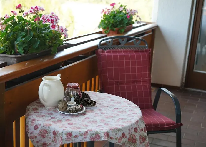 Schwarzwaldblick Eisenbach (Breisgau-Hochschwarzwald)