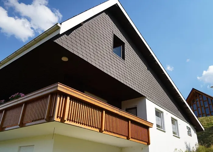 Schwarzwaldblick * Eisenbach (Breisgau-Hochschwarzwald)