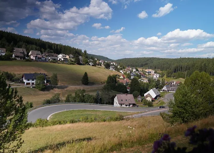 Schwarzwaldblick Eisenbach (Breisgau-Hochschwarzwald)