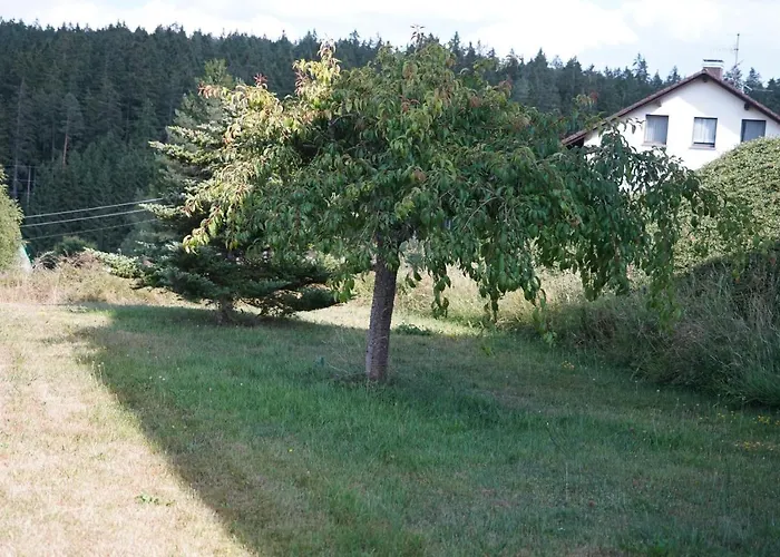 Schwarzwaldblick Apartmán *